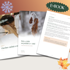 Ebook - Péče o kůži na podzim a v zimě